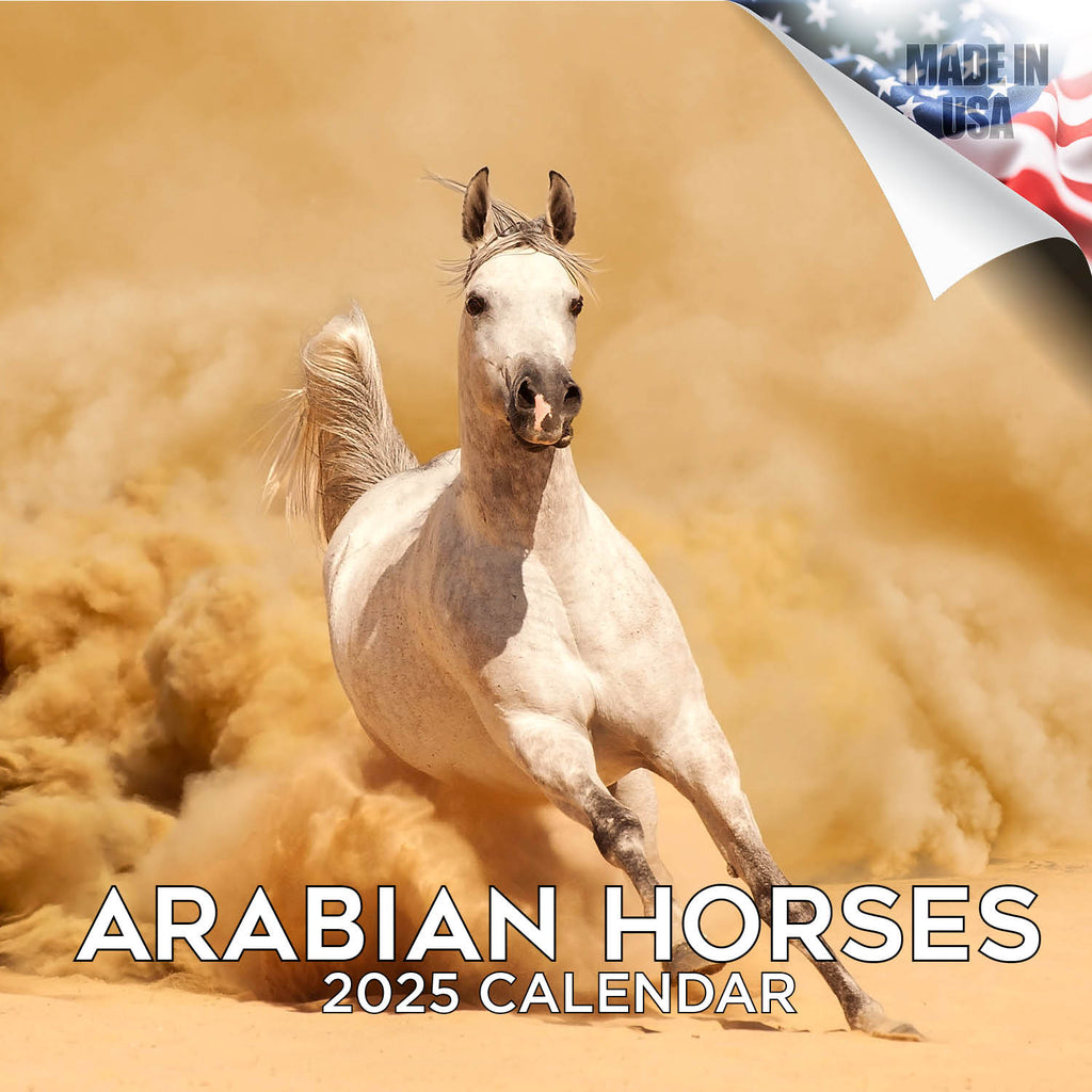 Arabian Horses Wall Calendar 2025