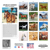 Arabian Horses Wall Calendar 2025