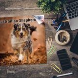 Australian Shepherd Wall Calendar 2024