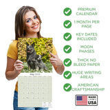Australian Cattle Dog Wall Calendar 2025