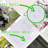 Australian Shepherd Wall Calendar 2025