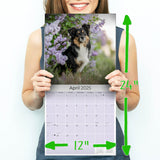 Australian Shepherd Wall Calendar 2025
