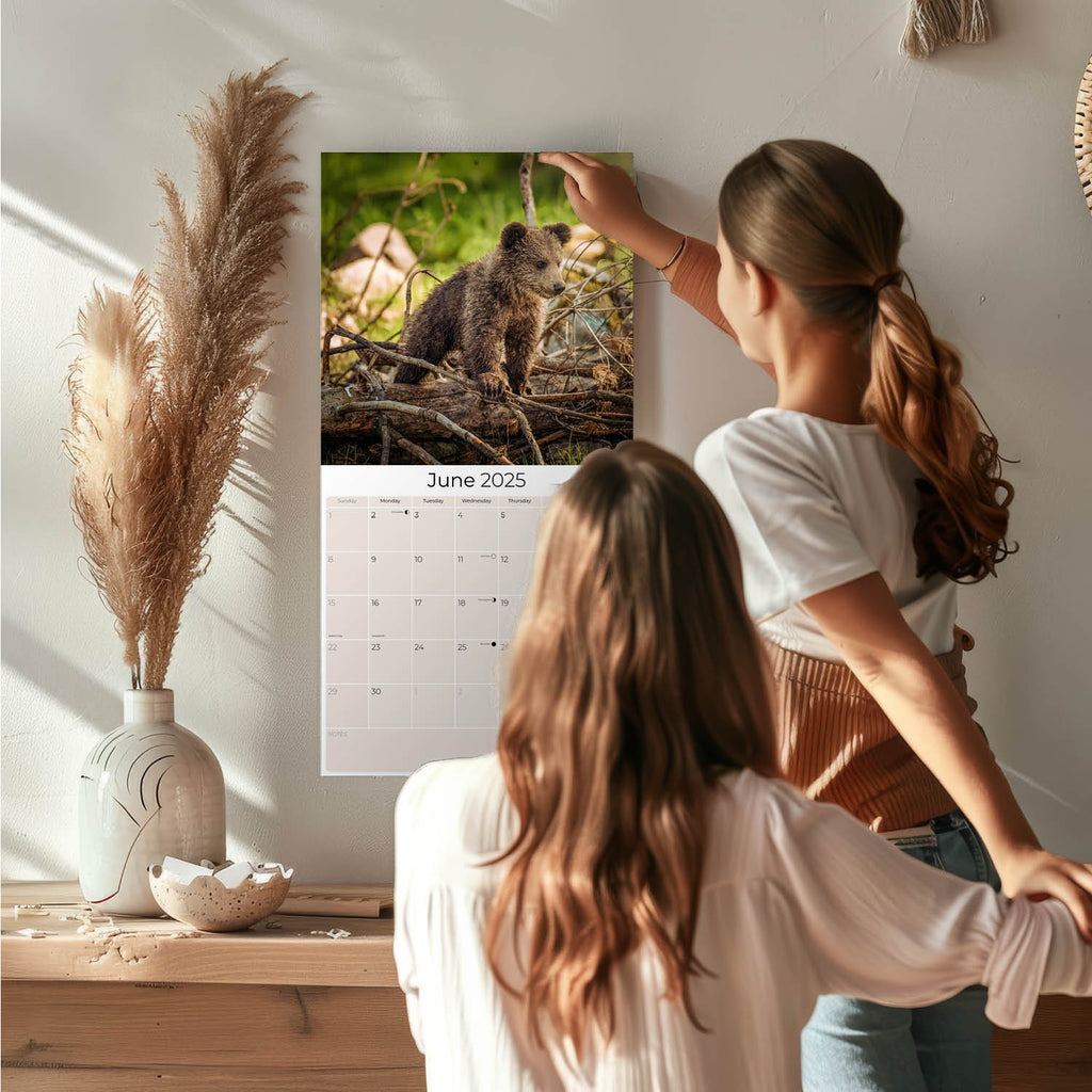 Baby Animals Wall Calendar 2025