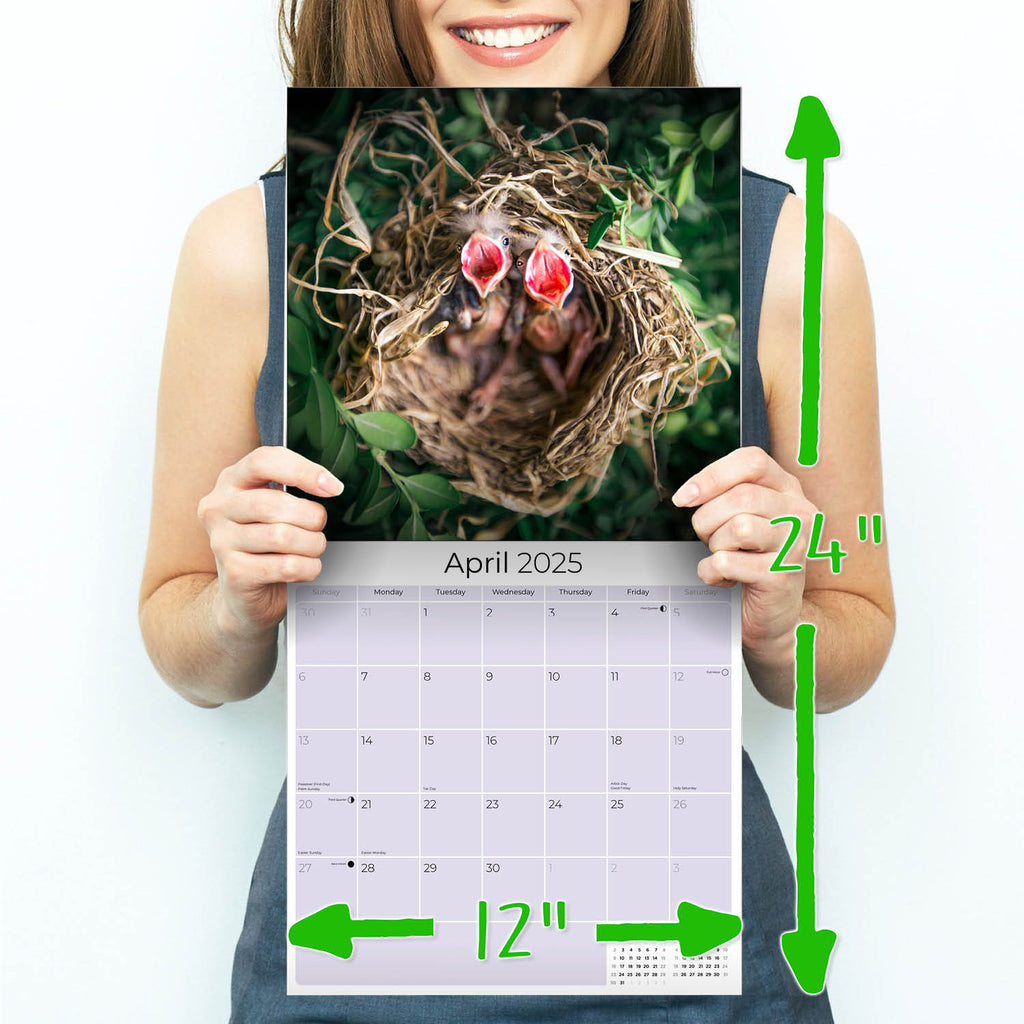 Baby Animals Wall Calendar 2025