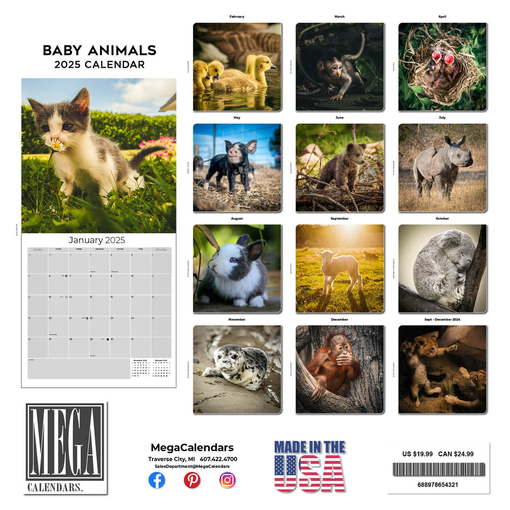Baby Animals Wall Calendar 2025