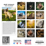 Baby Animals Wall Calendar 2025