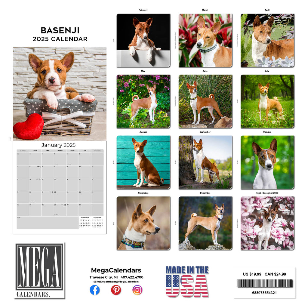Basenji Wall Calendar 2025