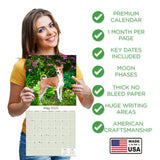 Basenji Wall Calendar 2025