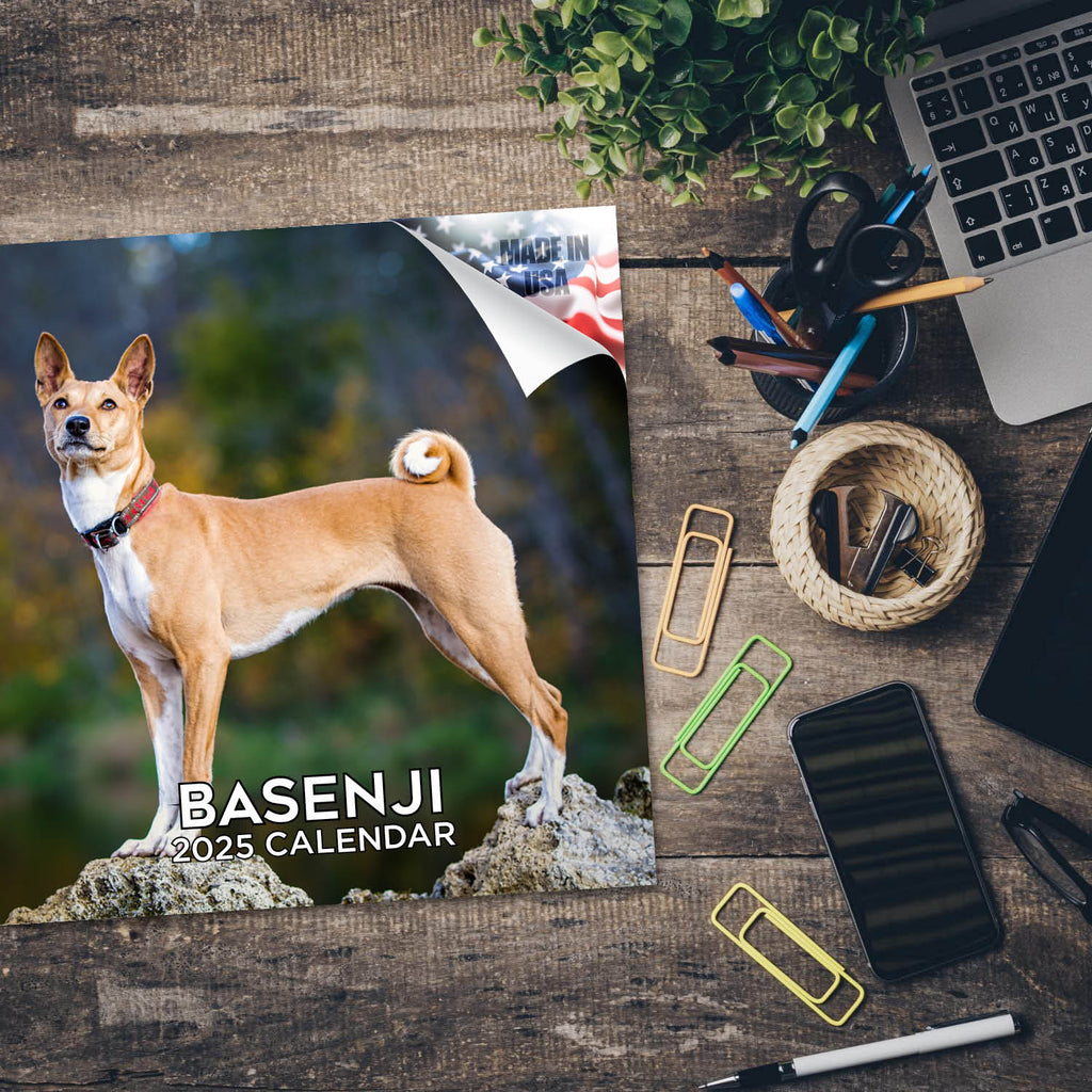 Basenji Wall Calendar 2025