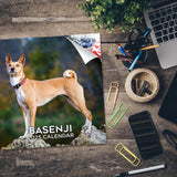 Basenji Wall Calendar 2025