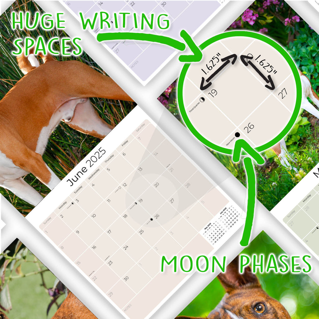 Basenji Wall Calendar 2025