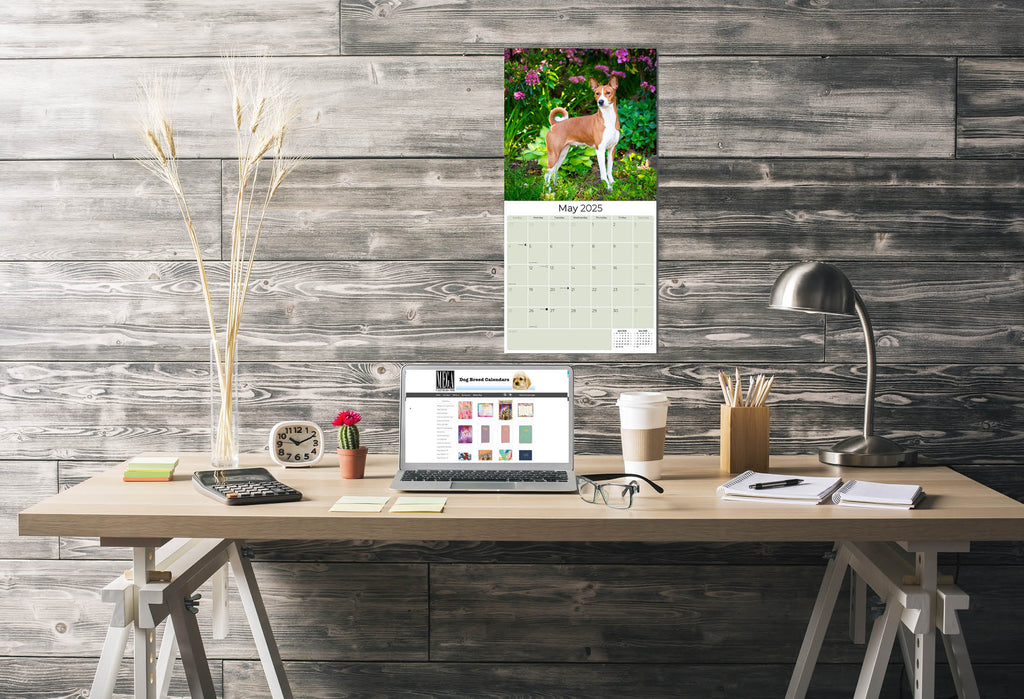 Basenji Wall Calendar 2025