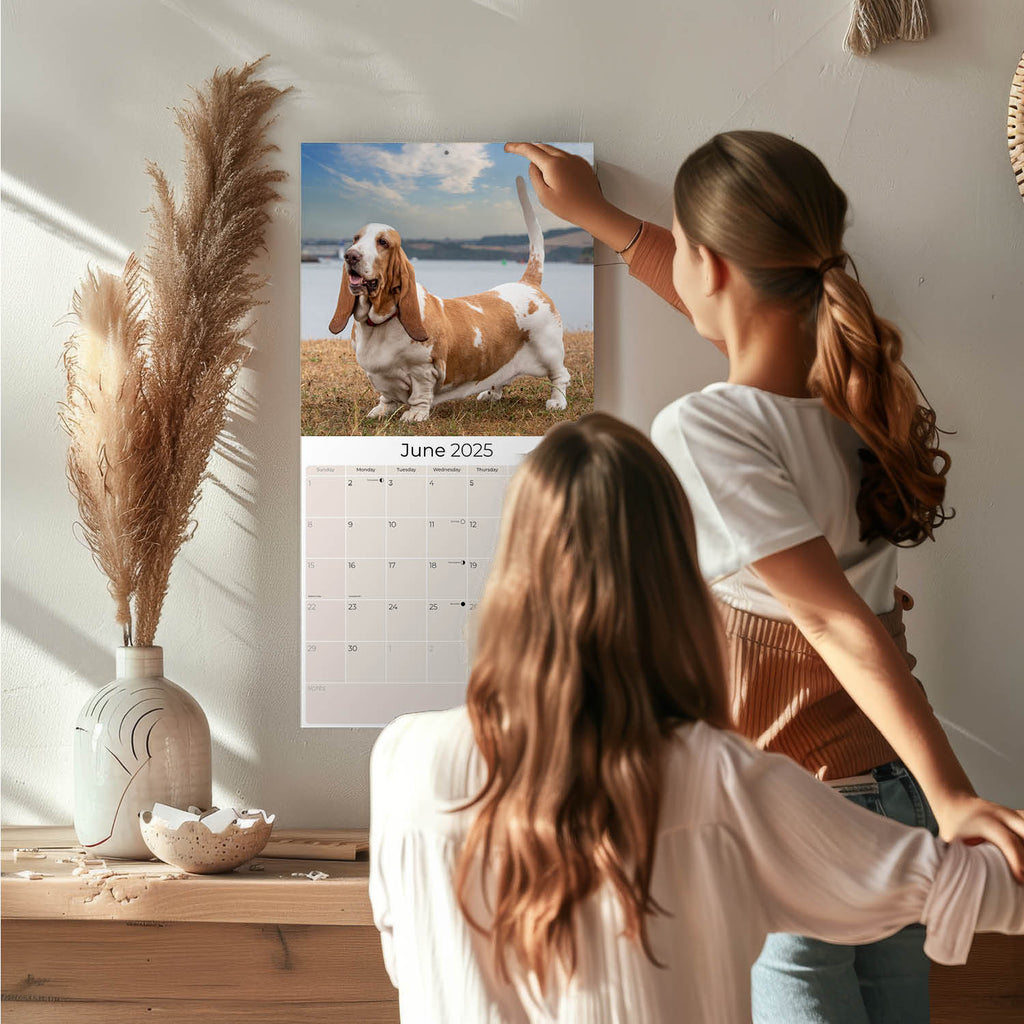 Basset Hound Wall Calendar 2025