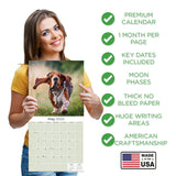 Basset Hound Wall Calendar 2025