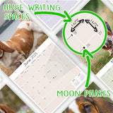 Basset Hound Wall Calendar 2025