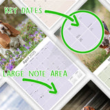 Basset Hound Wall Calendar 2025