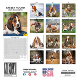 Basset Hound Wall Calendar 2025