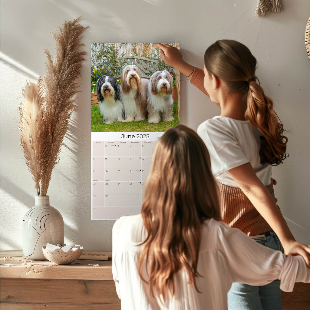 Bearded Collie Wall Calendar 2025