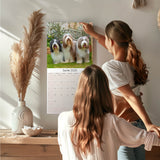 Bearded Collie Wall Calendar 2025