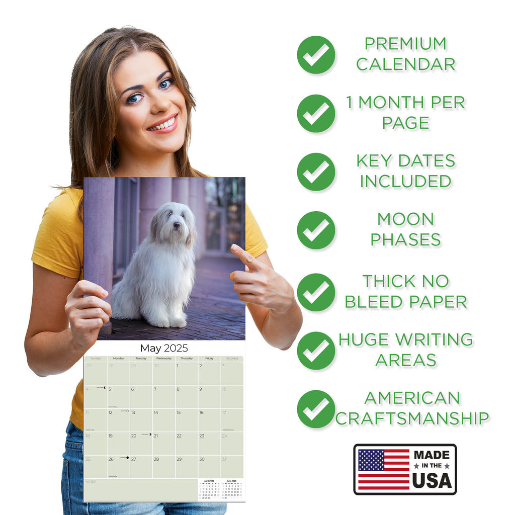 Bearded Collie Wall Calendar 2025