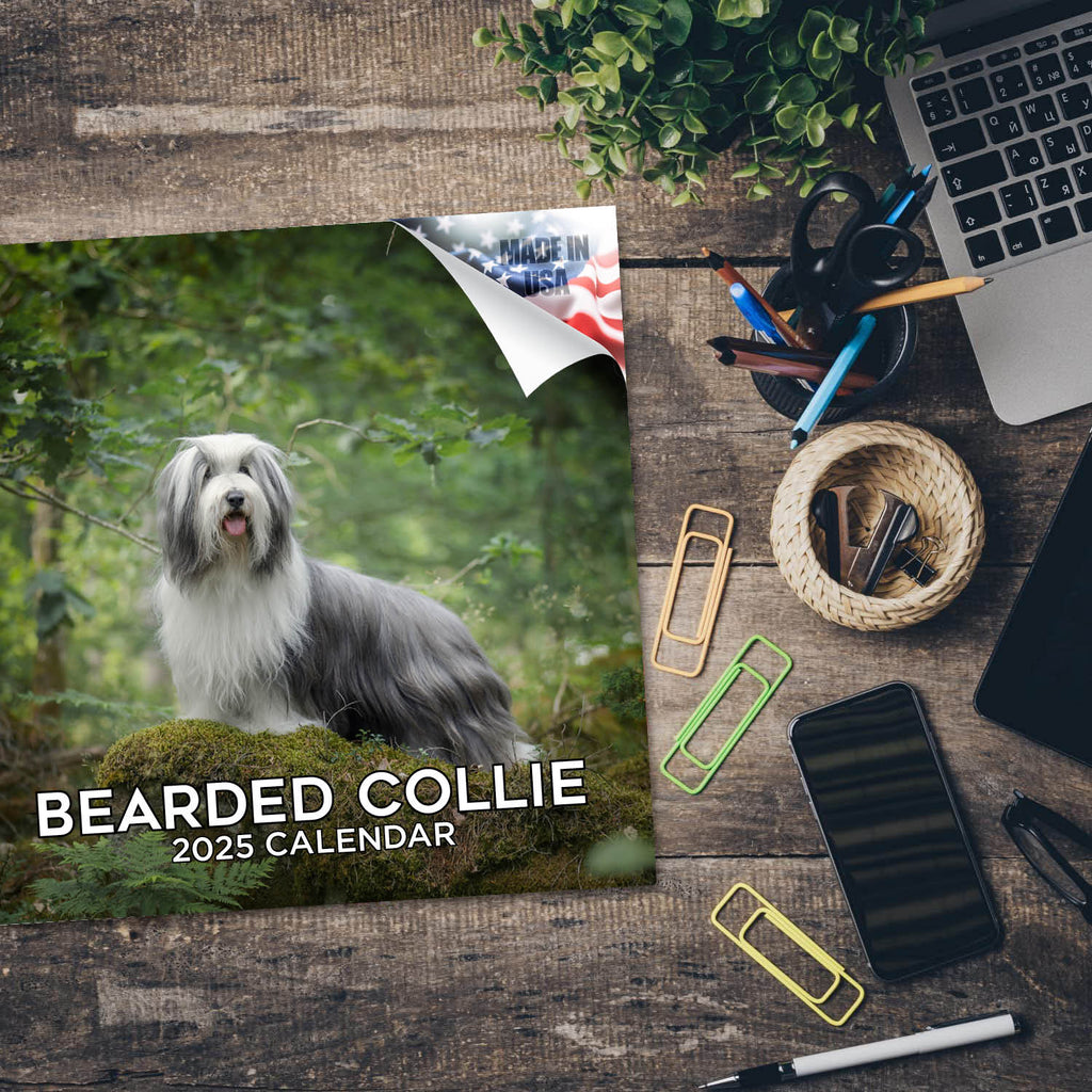 Bearded Collie Wall Calendar 2025