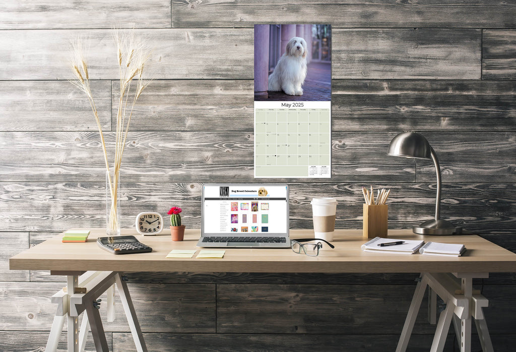 Bearded Collie Wall Calendar 2025