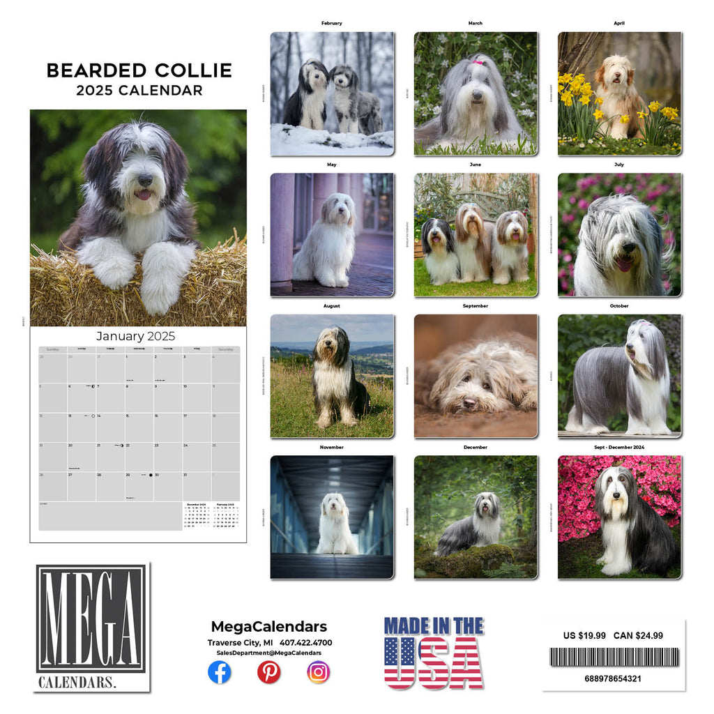 Bearded Collie Wall Calendar 2025