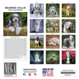 Bearded Collie Wall Calendar 2025