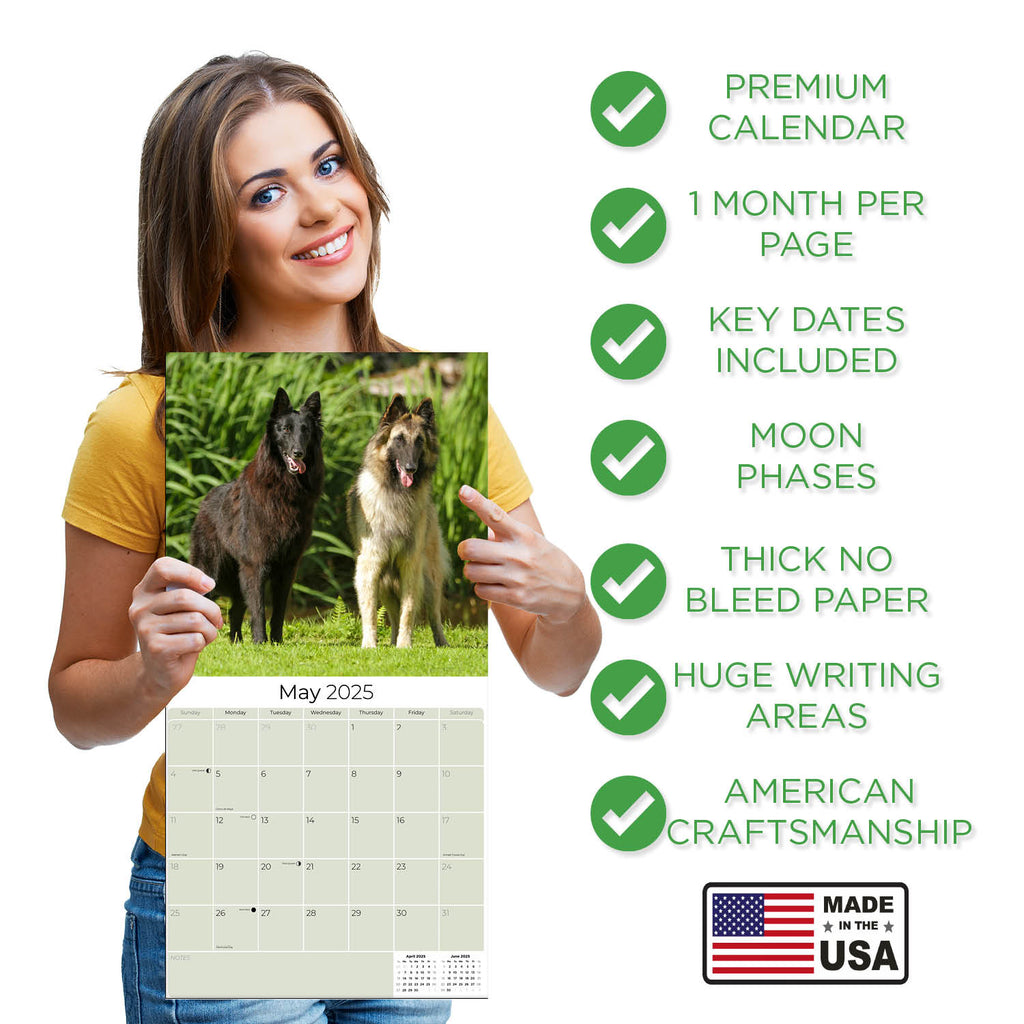 Belgian Shepherd Dog Wall Calendar 2025