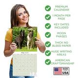 Belgian Shepherd Dog Wall Calendar 2025