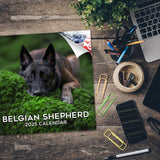 Belgian Shepherd Dog Wall Calendar 2025