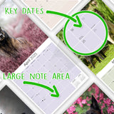 Belgian Shepherd Dog Wall Calendar 2025