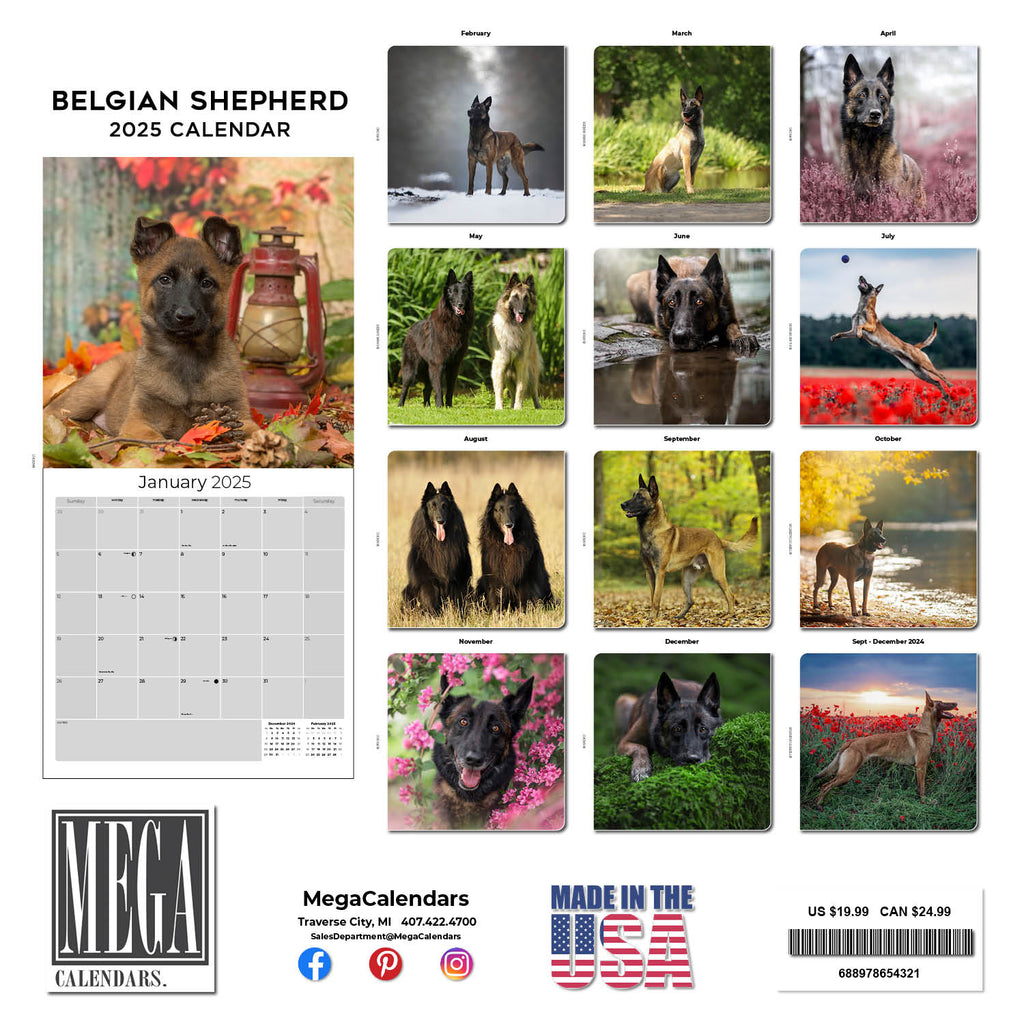Belgian Shepherd Dog Wall Calendar 2025