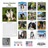 Bernese Mountain Dog Wall Calendar 2024