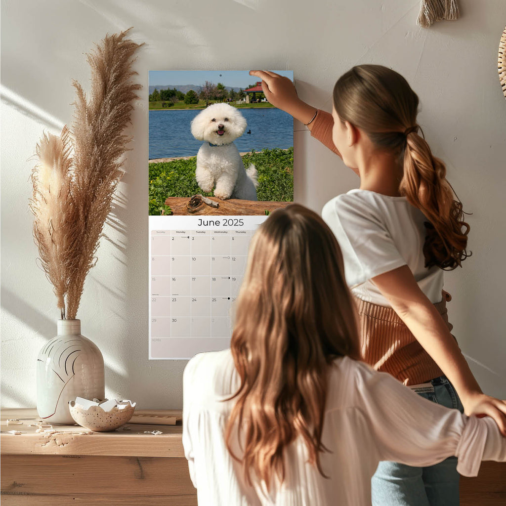 Bichon Frise Wall Calendar 2025