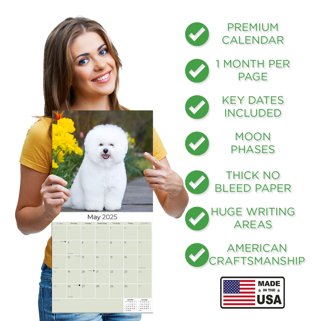 Bichon Frise Wall Calendar 2025