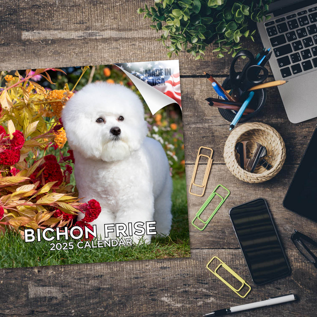Bichon Frise Wall Calendar 2025