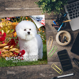 Bichon Frise Wall Calendar 2025