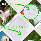 Bichon Frise Wall Calendar 2025