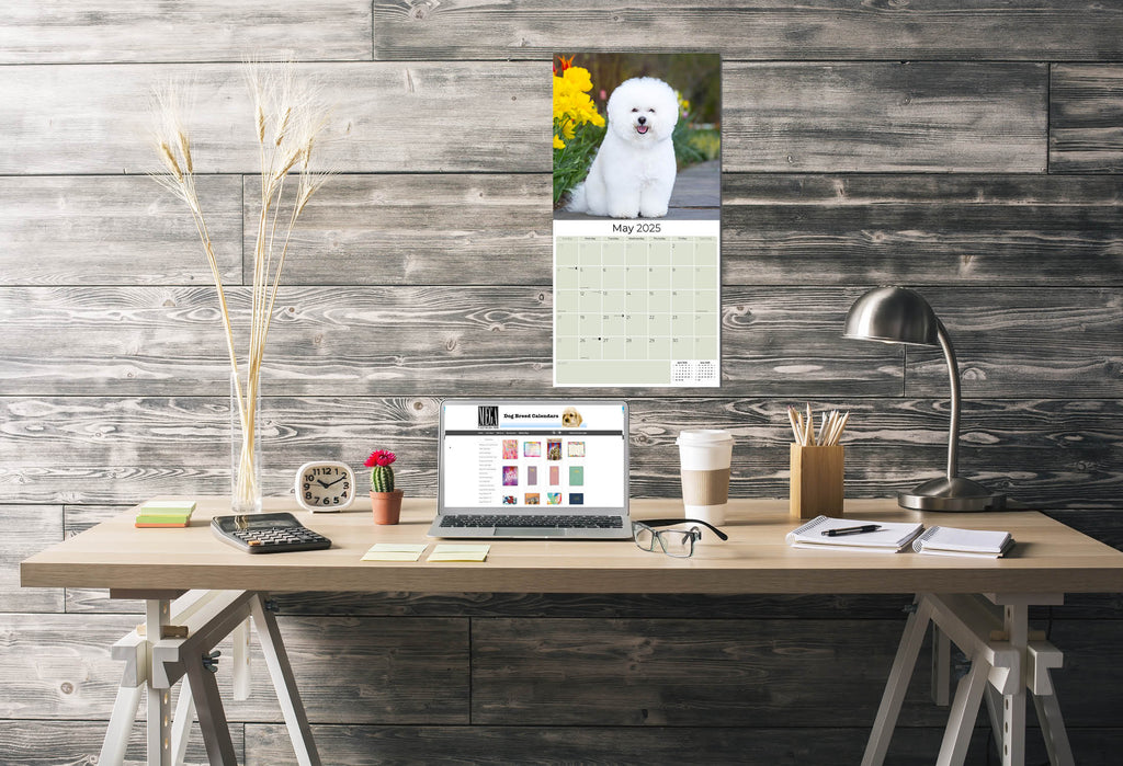 Bichon Frise Wall Calendar 2025