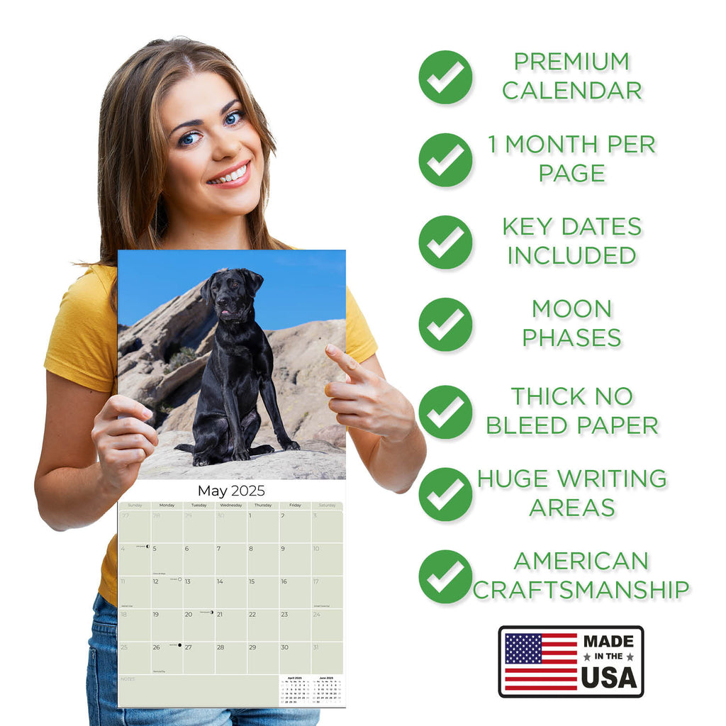 Black Labrador Retriever Wall Calendar 2025
