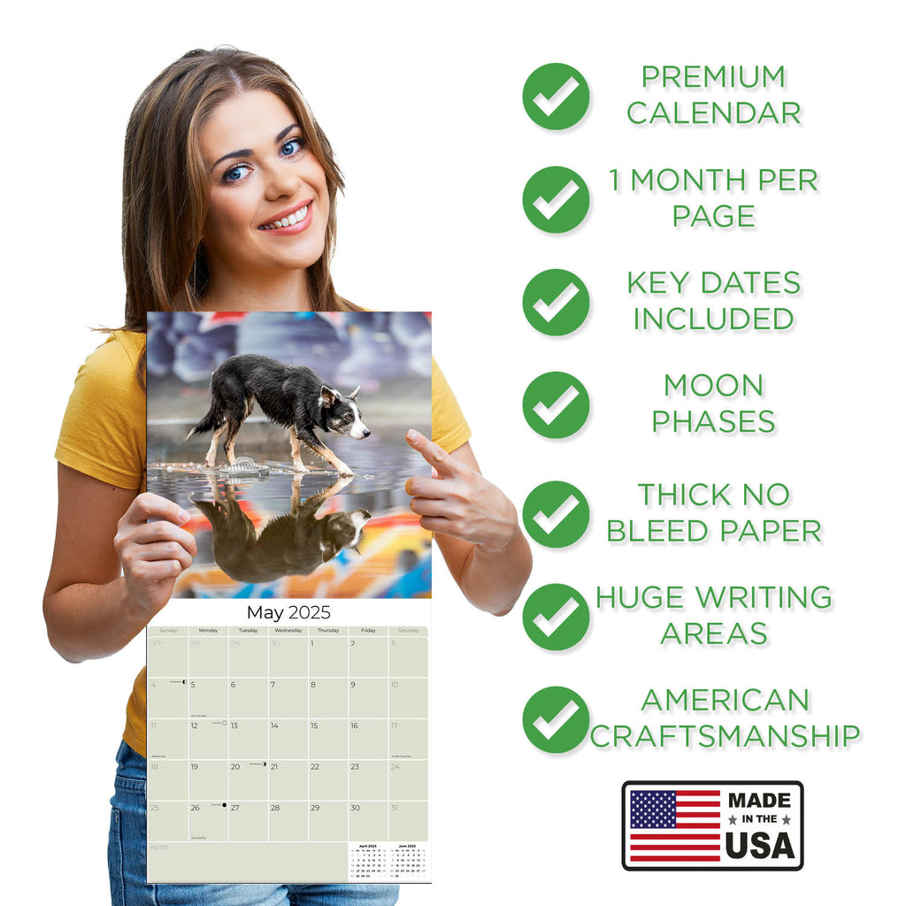 Border Collie Wall Calendar 2025