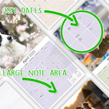 Border Collie Wall Calendar 2025