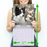 Border Collie Wall Calendar 2025