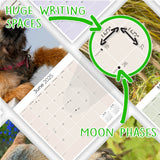 Border Terrier Wall Calendar 2025