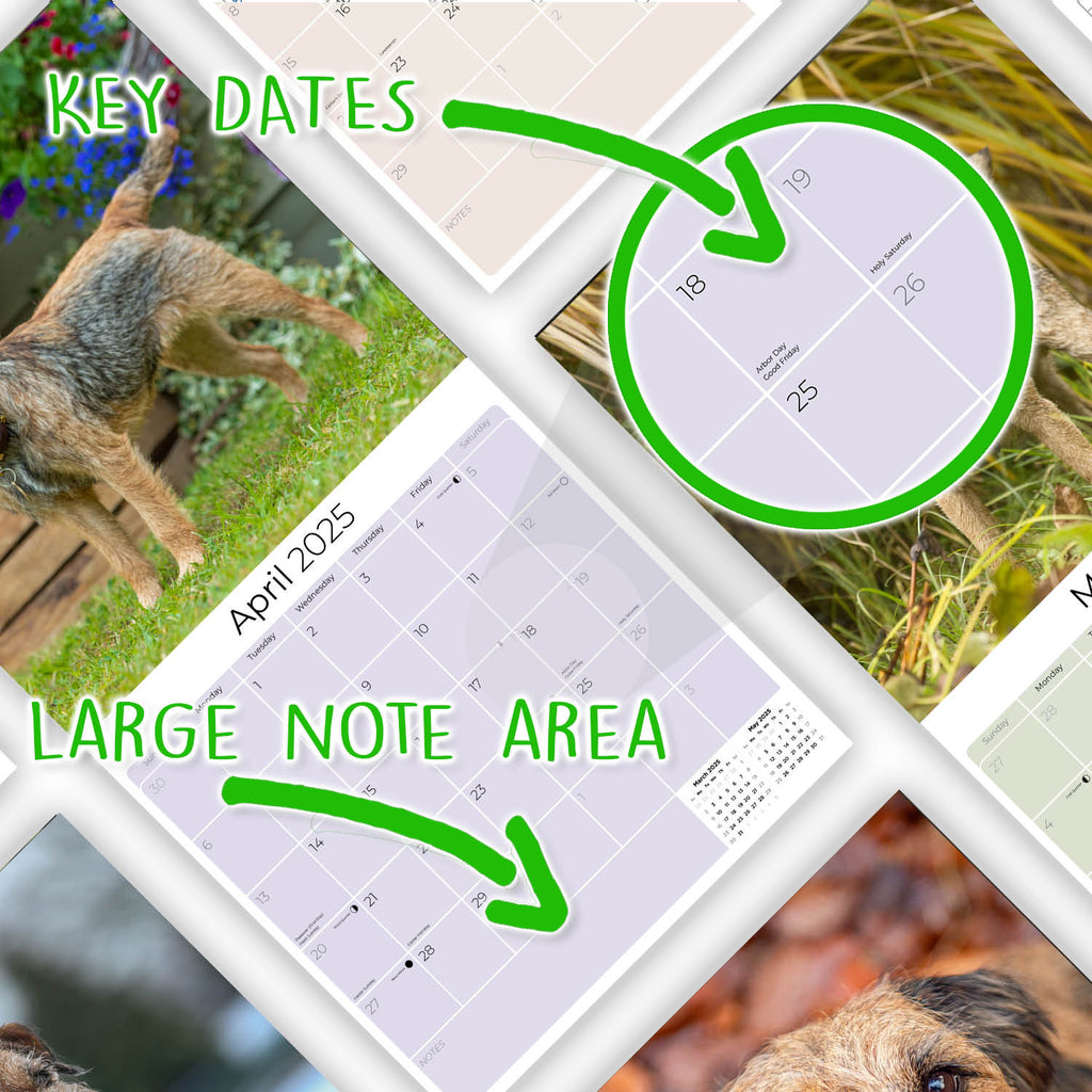 Border Terrier Wall Calendar 2025