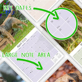 Border Terrier Wall Calendar 2025