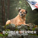 Border Terrier Wall Calendar 2025