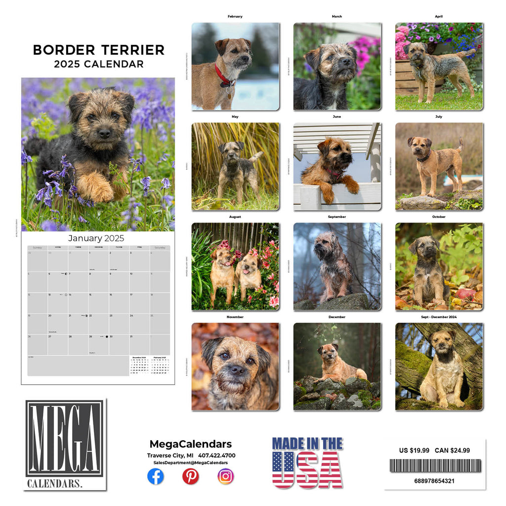 Border Terrier Wall Calendar 2025