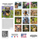 Border Terrier Wall Calendar 2025